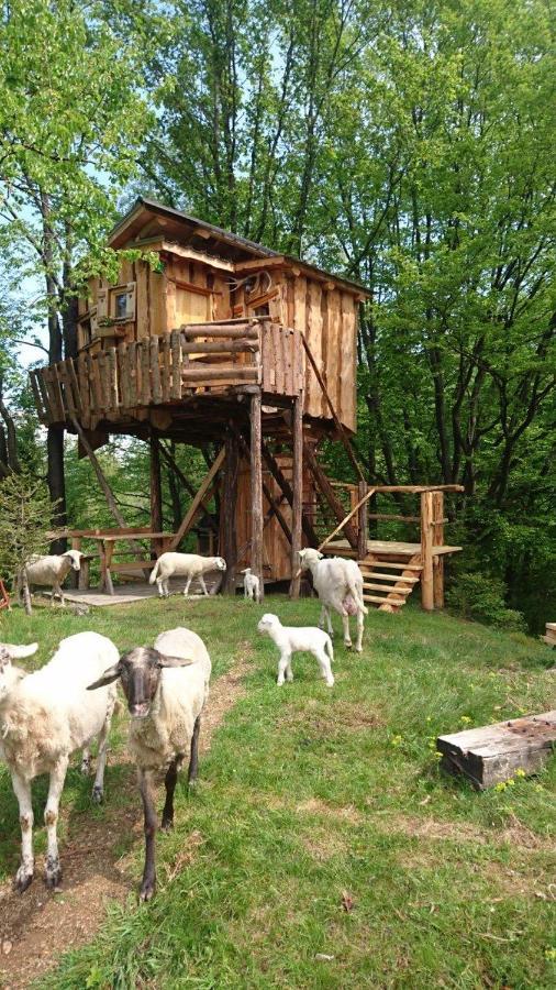 Treehouse Toplak Ruse Extérieur photo